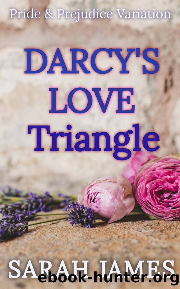 Darcy's Love Triangle. : Pride & Prejudice Variation. Book 2. by James Sarah