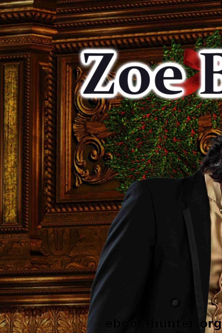 Darcy's Newlywed Christmas by Zoe Burton