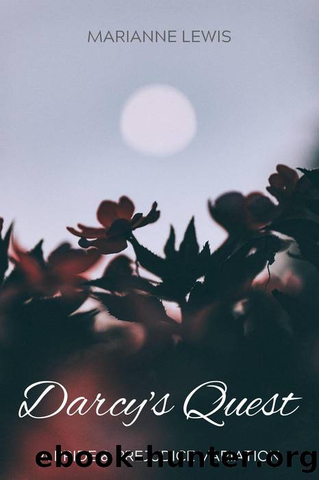 Darcy's Quest by Marianne Lewis