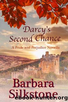 Darcy's Second Chance: A Pride and Prejudice Novella by Barbara Silkstone