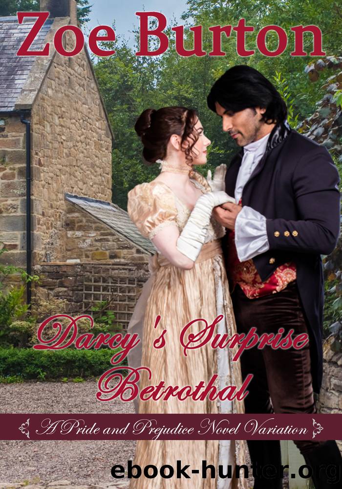Darcy's Surprise Betrothal by Zoe Burton