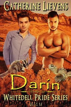 Darin by Catherine Lievens