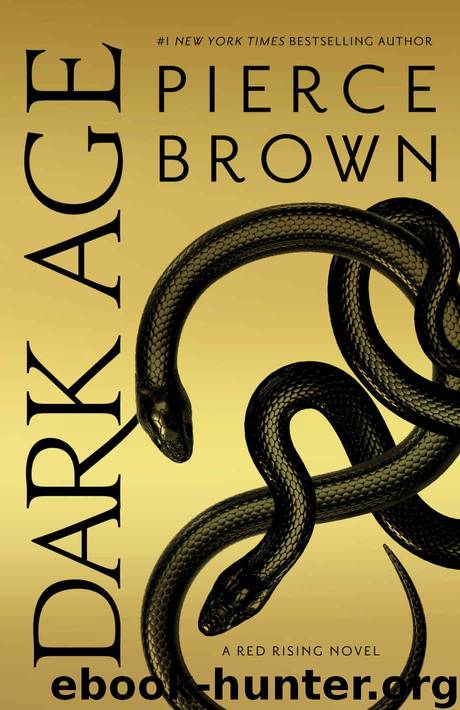 Dark Age (Red Rising Series Book 5) by Brown Pierce
