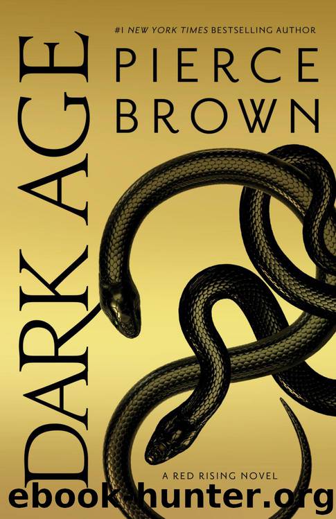 Dark Age by Pierce Brown