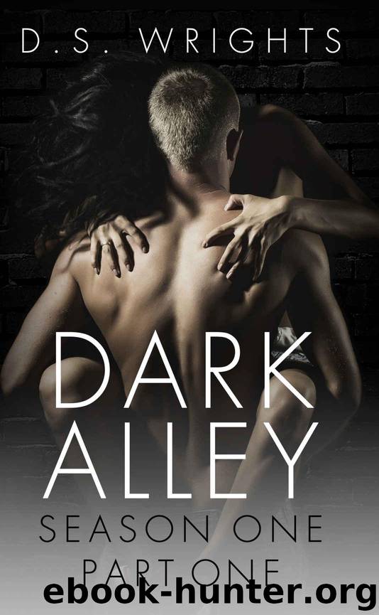 Dark Alley: Part One: Episodes 1-4 by Wrights D. S