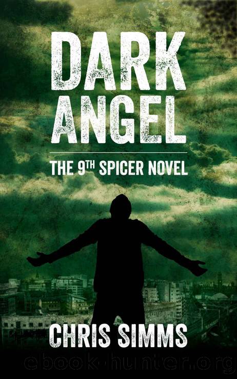 Dark Angel - a gripping serial-killer thriller with a nail-biting ending by Chris Simms