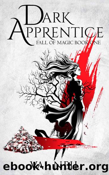 Dark Apprentice: Fall of Magic Book One by Neil Val