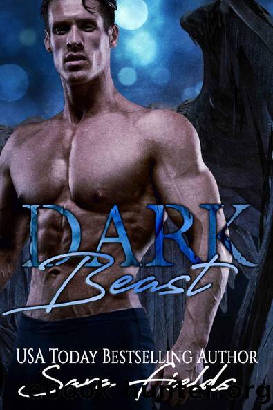 Dark Beast: A Fae Shifter Romance by Sara Fields