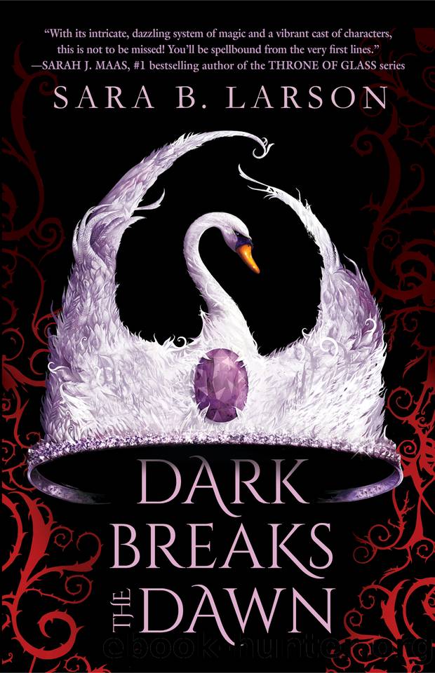 Dark Breaks the Dawn by Sara B Larson