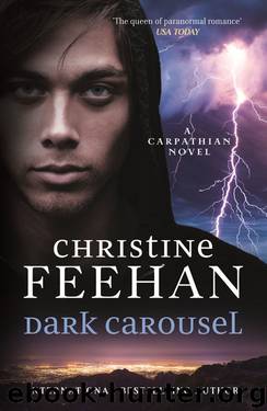 Dark Carousel (Dark Carpathian #29) by Christine Feehan