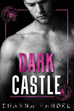 Dark Castle: A Mafia Fairy Tale Romance by Shanna Handel
