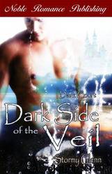 Dark Court [01] - Dark Court: Dark Side of the Veil by Stormy Glenn