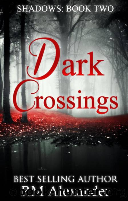 Dark Crossings by RM Alexander