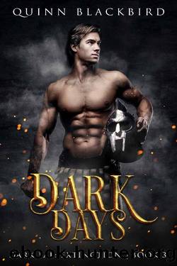 Dark Days (A Paranormal Romance): Enemies to Lovers (Dark Fae: Extinction Book 3) by Quinn Blackbird