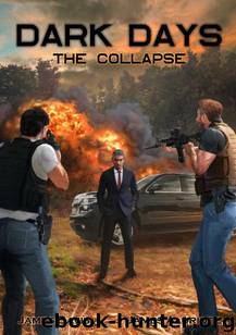 Dark Days (Book 1): The Collapse by Davis James & Aldridge James