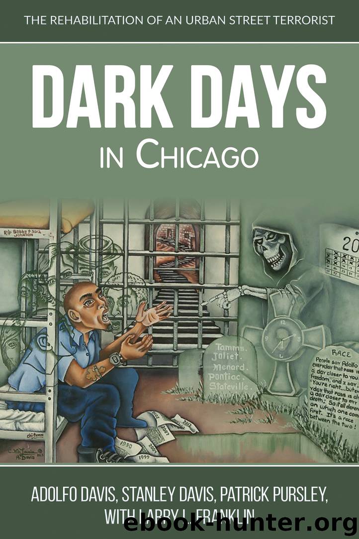 Dark Days in Chicago by adolfo davis patrick pursley stanley davis