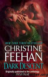 Dark Descent 11 by Christine Feehan