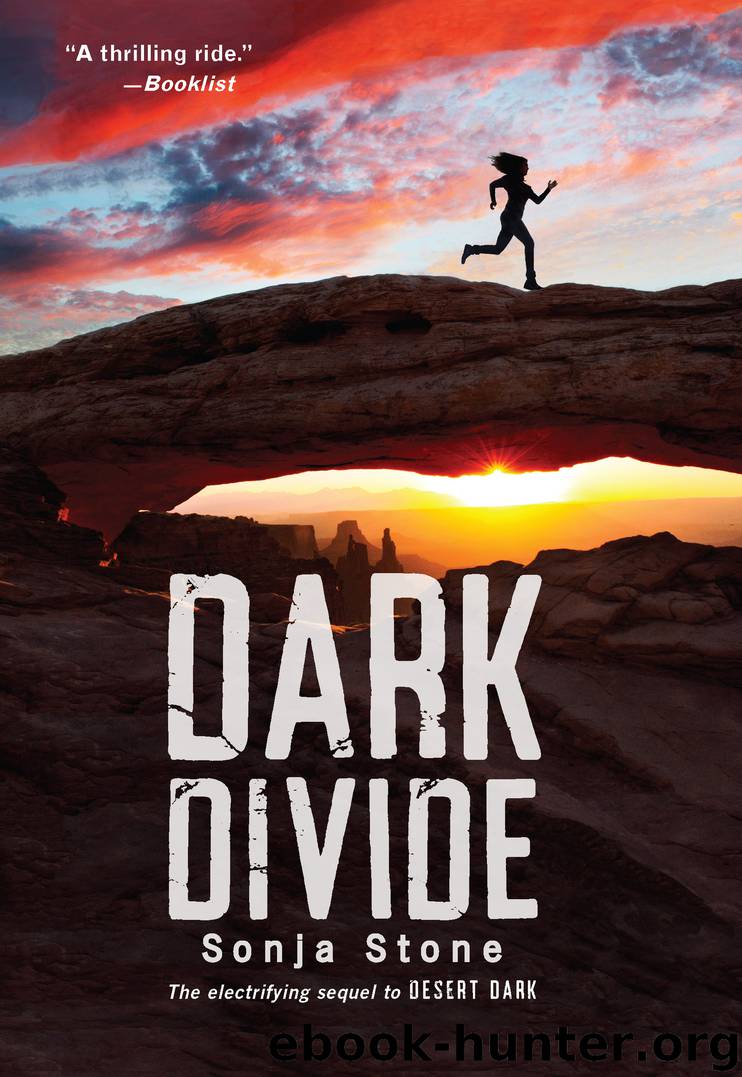 Dark Divide by Sonja Stone
