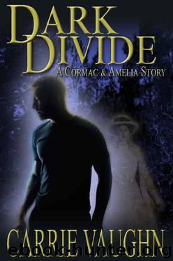 Dark Divide: A Cormac and Amelia Story by Carrie Vaughn