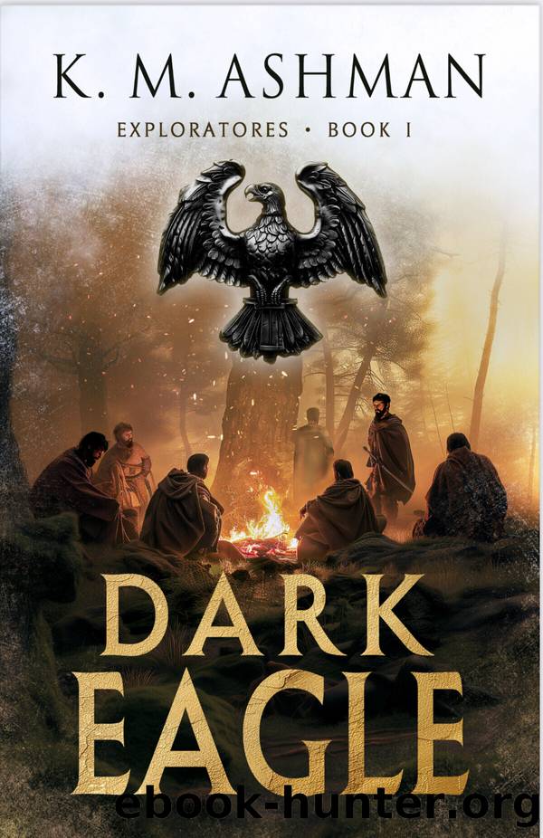 Dark Eagle by K.M. Ashman