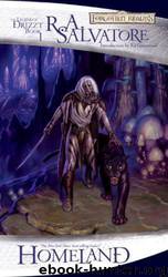 Dark Elf 01 - Homeland by R. A. Salvatore