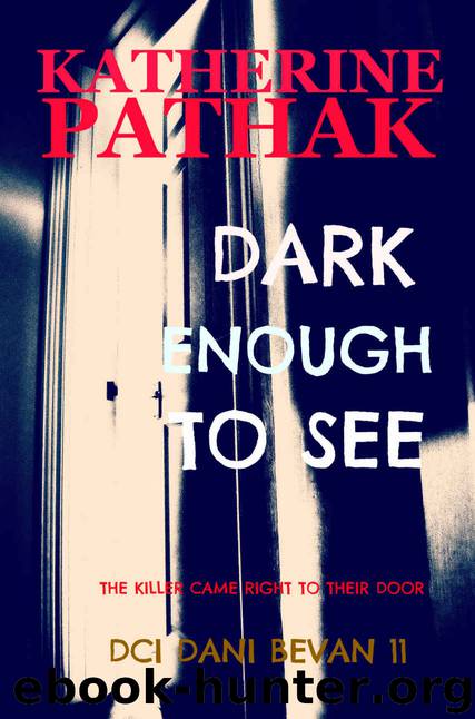 Dark Enough to See by Katherine Pathak
