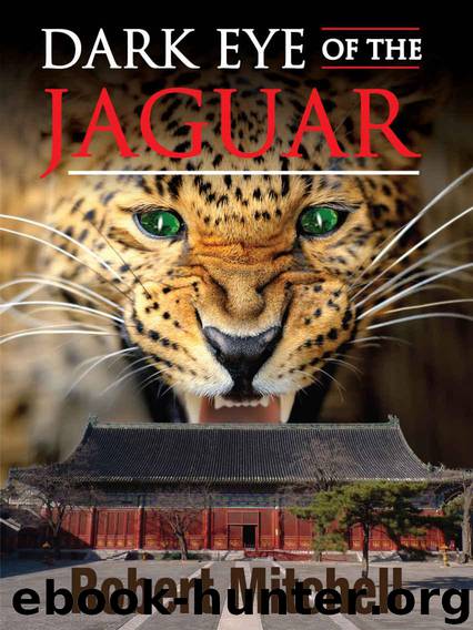 Dark Eye of the Jaguar by Robert Mitchell
