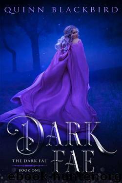Dark Fae: A Dark Fantasy Romance (The Dark Fae Book 1) by Quinn Blackbird