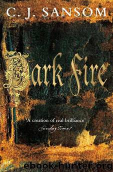 Dark Fire (The Shardlake series) by C. J. Sansom