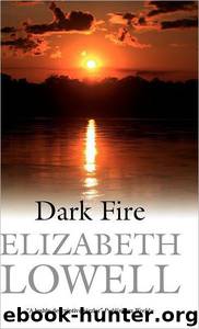 Dark Fire by Elizabeth Lowell
