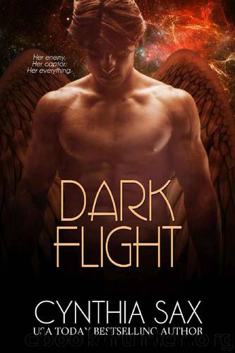 Dark Flight (Refuge Book 2) by Cynthia Sax