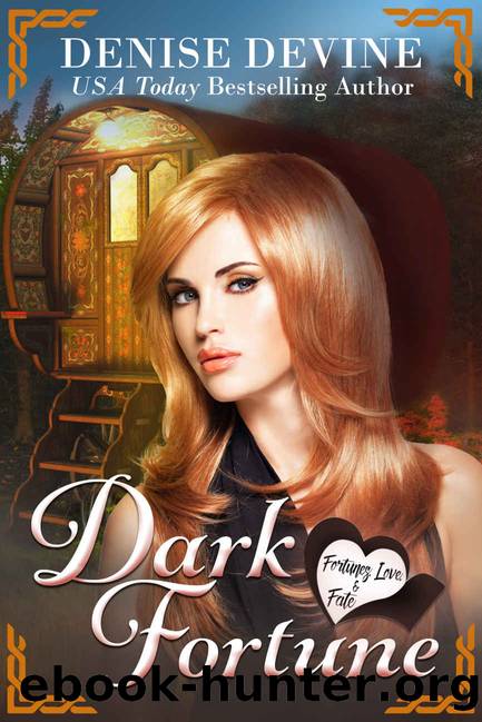 Dark Fortune: A Cozy Mystery (Fortunes, Love Book 6) by Denise Devine