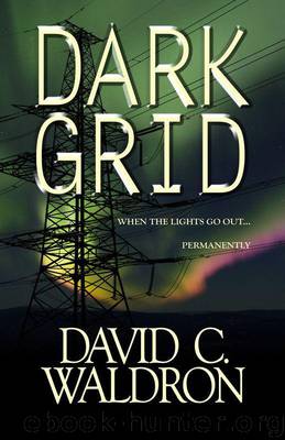 Dark Grid (The Dark Grid Series) by Waldron David C