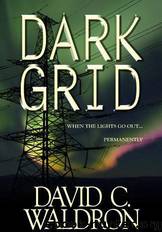 Dark Grid by David C. Waldron