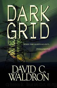 Dark Grid by Waldron David C