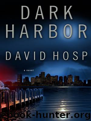 Dark Harbor by David Hosp