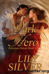 Dark Hero by Lily Silver