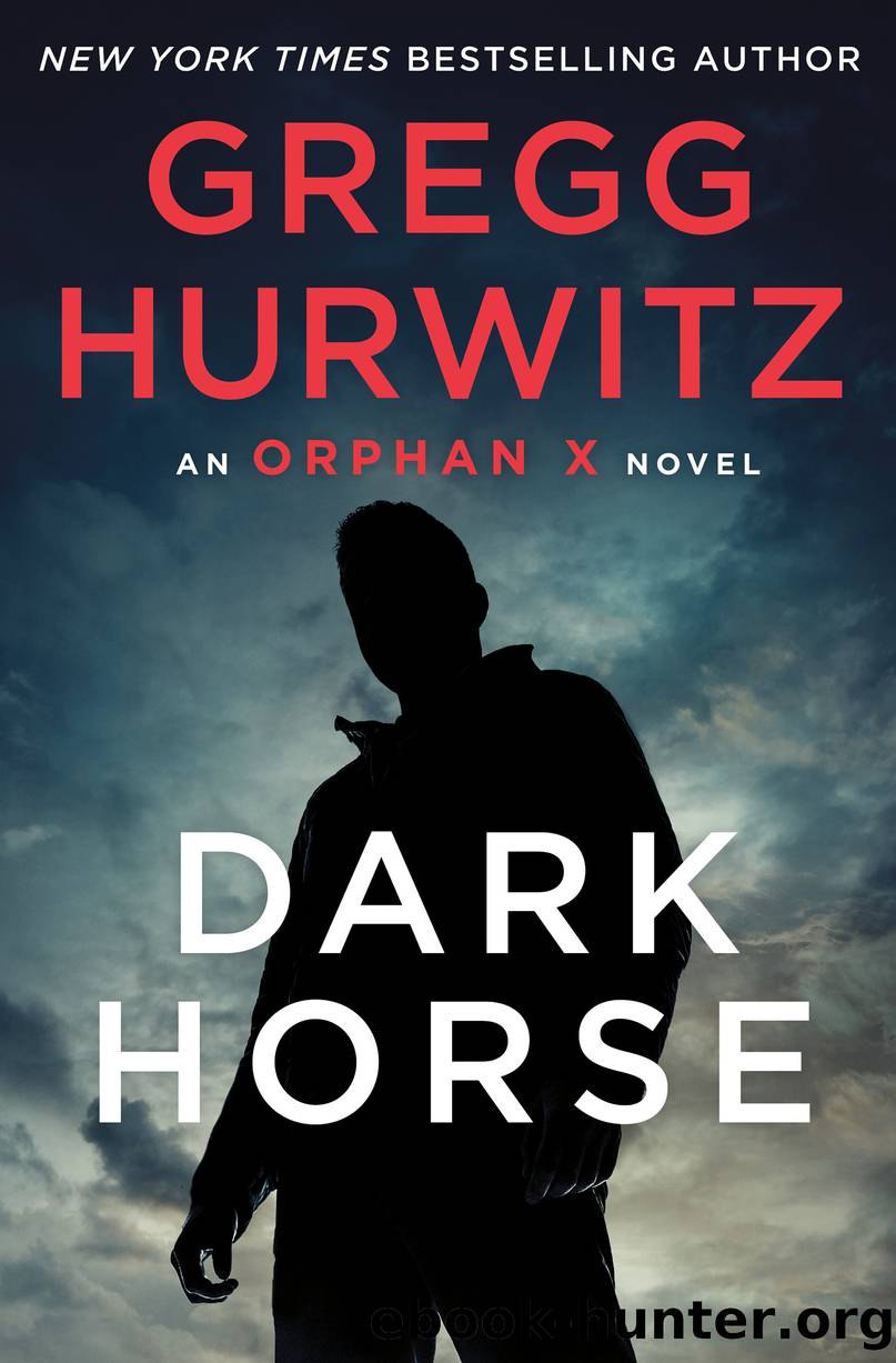 Dark Horse by Gregg Hurwitz