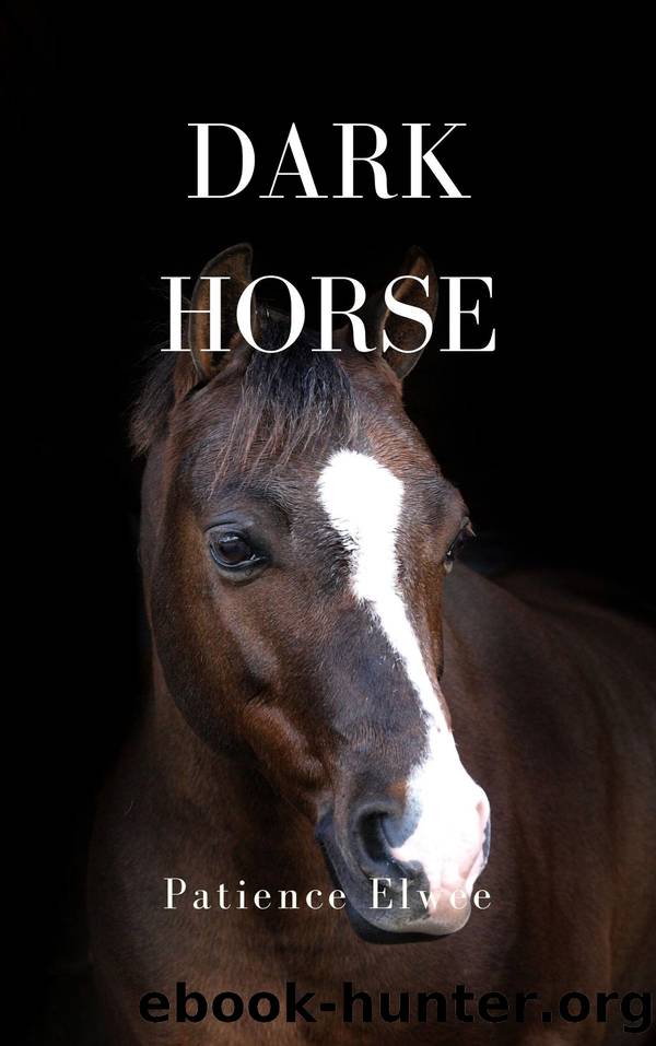Dark Horse by Patience McElwee