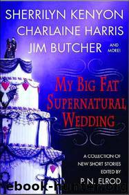 Dark Hunter 15 - A Hard Day's Night Searcher by Sherrilyn Kenyon