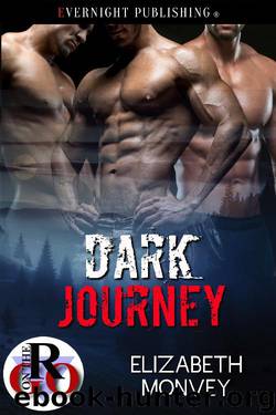Dark Journey by Elizabeth Monvey