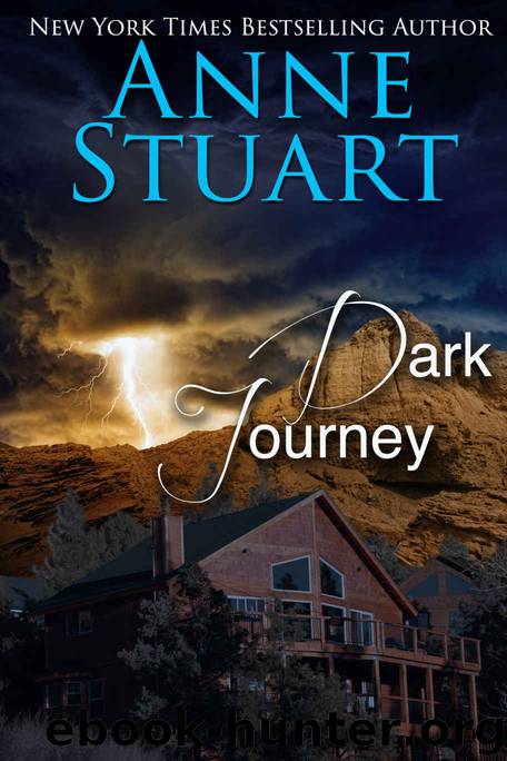 Dark Journey by Stuart Anne