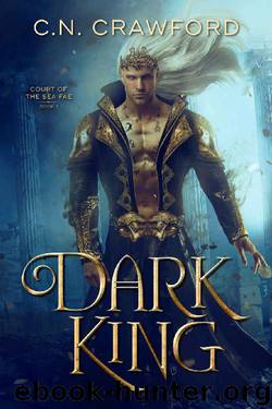 Dark King by C N Crawford