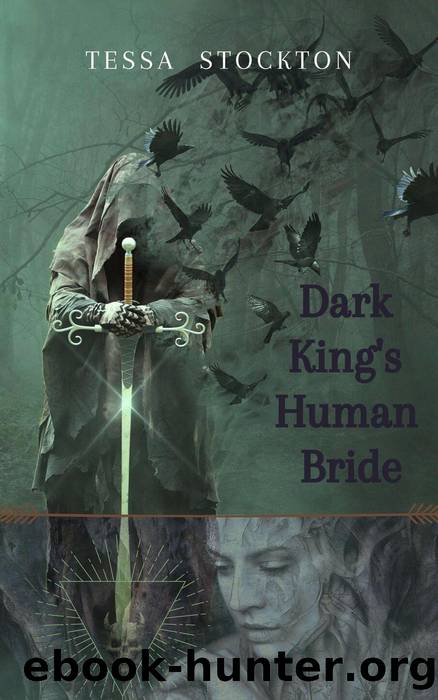 Dark King's Human Bride by Tessa Stockton