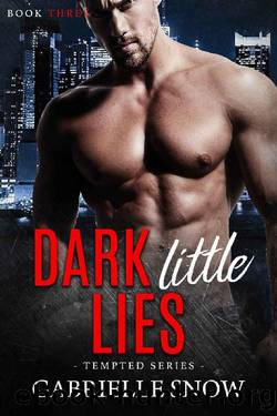 Dark Little Lies by Gabrielle Snow