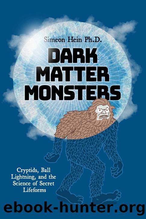 Dark Matter Monsters: Cryptids, Ball Lightning, and the Science of Secret Lifeforms by Simeon Hein