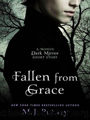 Dark Mirror 1.5 - Fallen from Grace by M.J. Putney