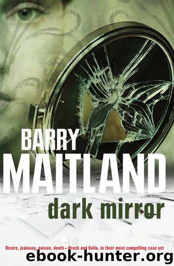 Dark Mirror by unknow