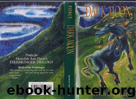 Dark Moon (ft-2) by Meredith Ann Pierce