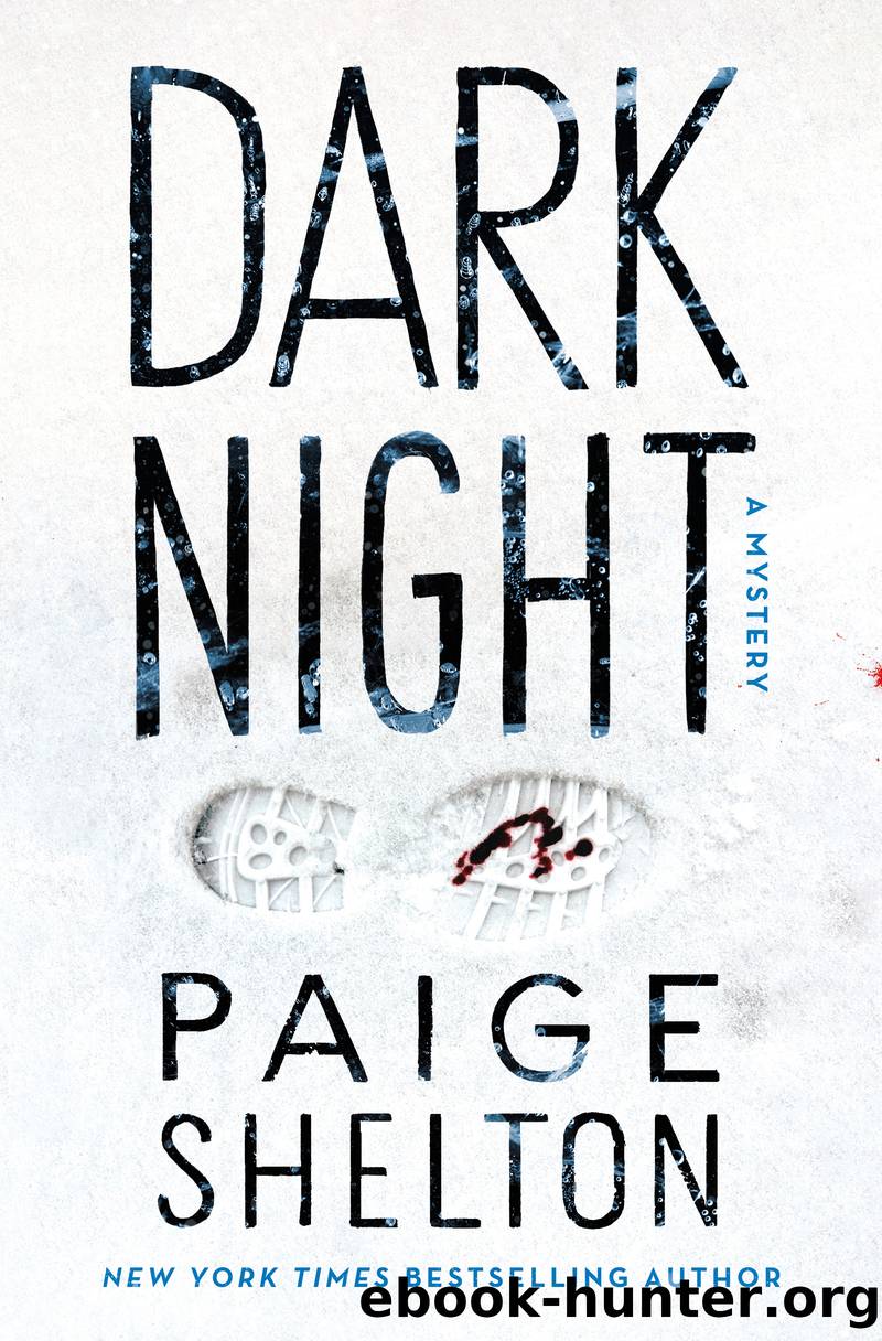 Dark Night--A Mystery by Paige Shelton